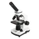 Compound Microscope