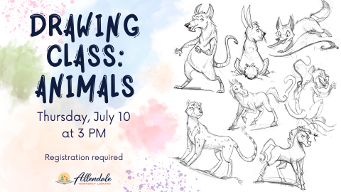 Drawing Class: animals